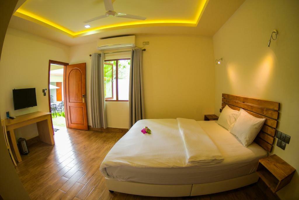 Tiger Shark Residence & Dive Fuvahmulah Bagian luar foto